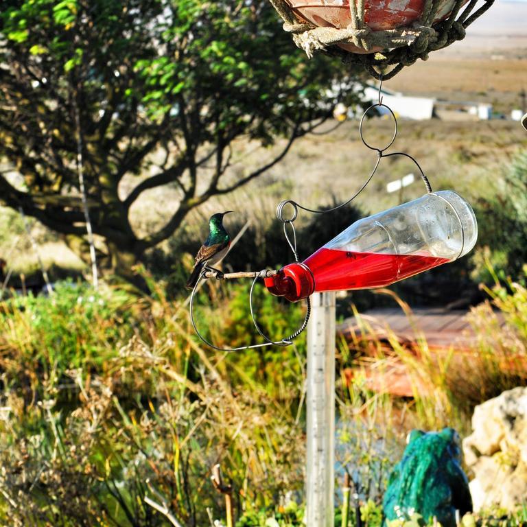 Farr Out Guest House Paternoster Luaran gambar